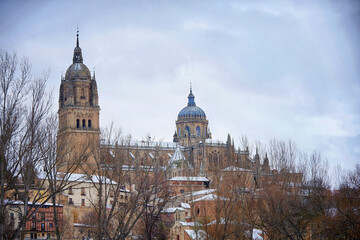 Salamanca cathedral, after the storm Filomena