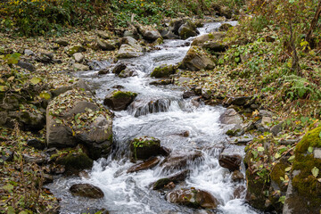 Fast mountain river Beshenka flows among stones and trees. Urban-type settlement Krasnaya Polyana...