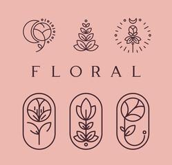 A set of minimalistic floral logos. Outline, buds, flowers, concise, simple.