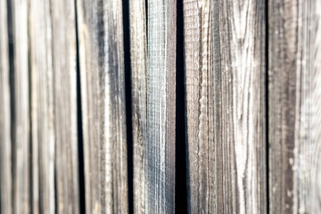 Old Weathered  gray  vertical Wood Planks with the rays of the sun . Abstract Background.