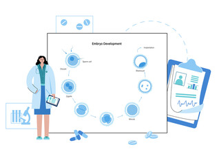 Embryo development concept