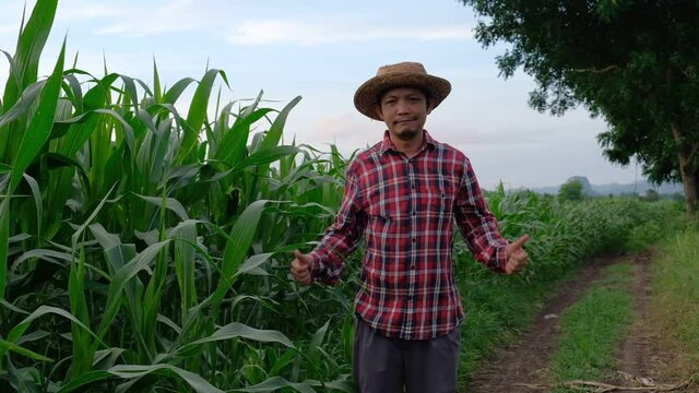 Happy asia farmer raised their hands and smiled in the corn field.