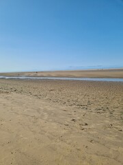 sand dunes on the beach