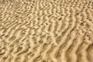 Ondulations sur le sable