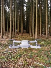 Drone in forest
