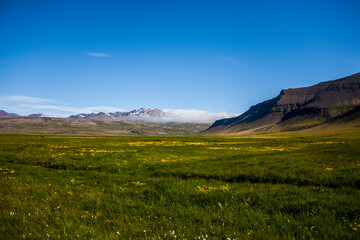 Summer landscape in Southern Iceland, Europe
