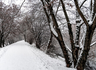 Fototapeta premium Winterlich verschneite Promenade