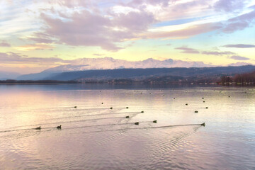 Naklejka premium Lake Viverone, a small pearl nestled at the foot of the Biellese Prealps