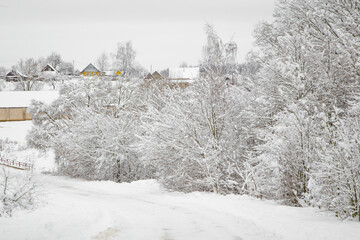 winter, all the trees in the vicinity of the village are covered with snow