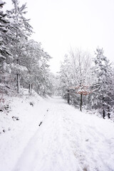 snow on the road in the mountain in winter season, Bilbao, Spain