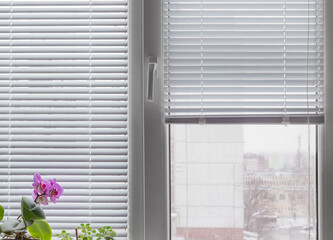 Fragment of modern window with Venetian blinds and houseplants
