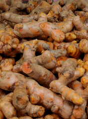 Turmeric herb for medicine in thailand