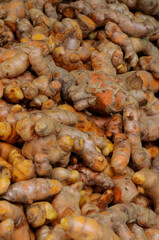 Turmeric herb for medicine in thailand