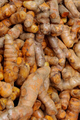 Turmeric herb for medicine in thailand