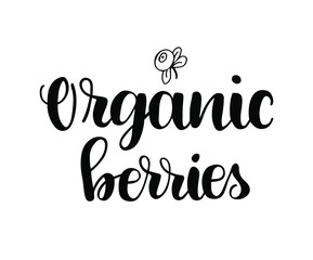 Fototapeta premium Organic berries text with illustration. Vector banner, poster, package design. Natural food market concept. Organic design.