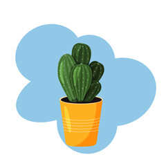 Cactus In A Pot. Vector image in flat style. Colorful drawing of indoor cactus on a blue background.