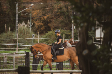 woman riding her brown horse with black mane dressed in black with a helmet