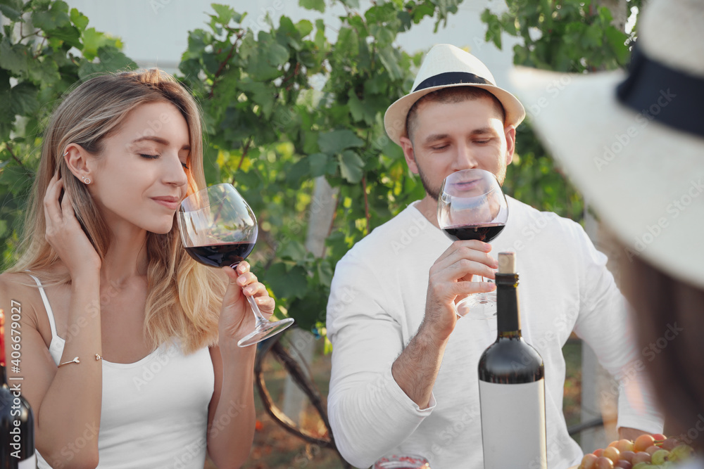 Wall mural Friends tasting red wine in vineyard on sunny day