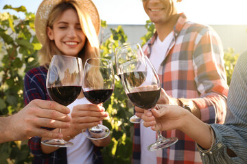 Friends clinking glasses of red wine in vineyard, focus on hands