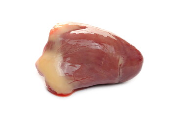Fresh raw goose heart isolated on white background