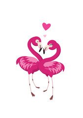 couple of pink flamingos in love isolated on white background