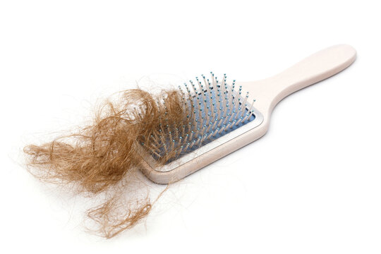 Wooden Paddle Hairbrush And Clump Of Hair