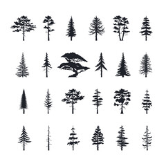 Big set of forest trees silhouettes. Vector isoleted icons of pine, fir, cedsar, oak. 