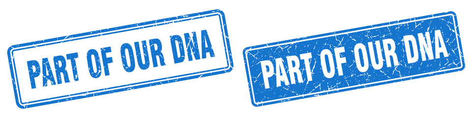 part of our dna stamp set. part of our dna square grunge sign