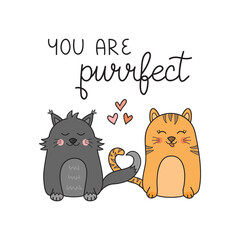 You are purrfect pun cat vector illustration