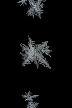 ice crystal on black background