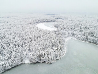 Beautiful frosty winter aerial landscape of a forest and lake Tapeliai in Vilnius, Lithuania