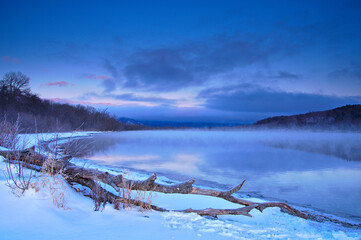 朝靄の漂う冬の湖の湖岸の倒木。阿寒摩周国立公園の屈斜路湖。北海道、日本。