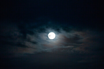 Fototapeta na wymiar moon and light cloud 