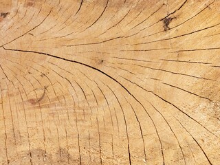 Fototapeta premium Old wooden with a modern pattern. Beautiful wooden floor suitable as a background