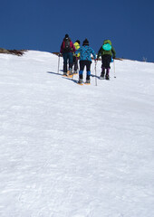 白い雪の平原をスノーシューで登る人たち