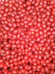 Silverberry, gumi. Red berries elaeagnus multiflora background.