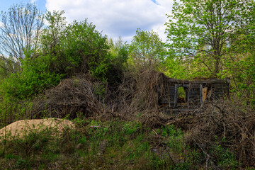 abandoned wooden houses Chernobyl zone