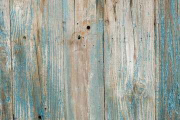 Old wood background. Wooden texture