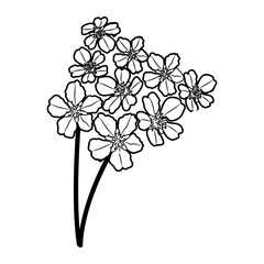 Almond Floral Hand Drawn. Vector Design Illustration Sign.