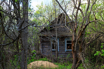 abandoned wooden houses Chernobyl zone