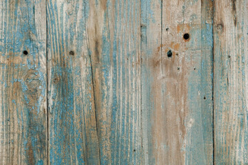 Old wood background. Wooden texture