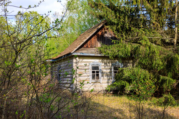 Fototapeta na wymiar abandoned wooden houses Chernobyl zone