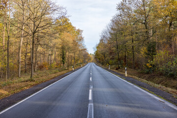 Lange Straße durchquert ein Forstgebiet