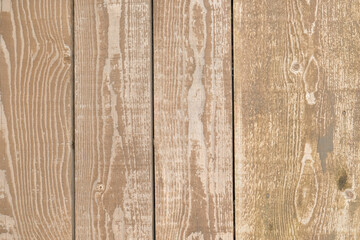 Old wooden door background. Abstract and vintage texture.