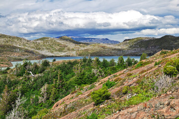 Fototapeta na wymiar Lago Gray in Torres del Paine National Park, Patagonia, Chile