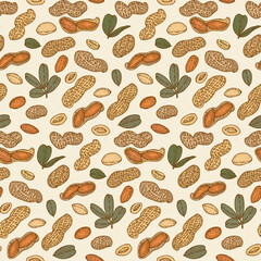 Seamless pattern with Peanut, nuts and leaves. Graphic hand drawn engraving style. Botanical illustration for packaging, menu cards, posters, prints.