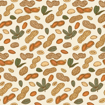 Seamless pattern with Peanut, nuts and leaves. Graphic hand drawn engraving style. Botanical illustration for packaging, menu cards, posters, prints.