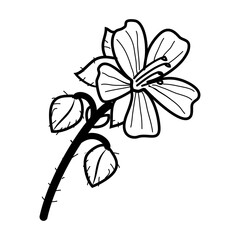 Geranium Floral Hand Drawn. Vector Design Illustration Sign.