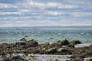 Picturesque Bic Park (Parc national du Bic). Due to its location on southern shores of Saint Lawrence River, park is home to large populations of harbor seals and gray seals. Quebec Province, Canada.