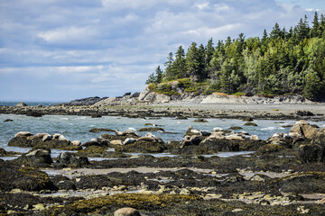 Picturesque Bic Park (Parc national du Bic). Due to its location on southern shores of Saint Lawrence River, park is home to large populations of harbor seals and gray seals. Quebec Province, Canada.